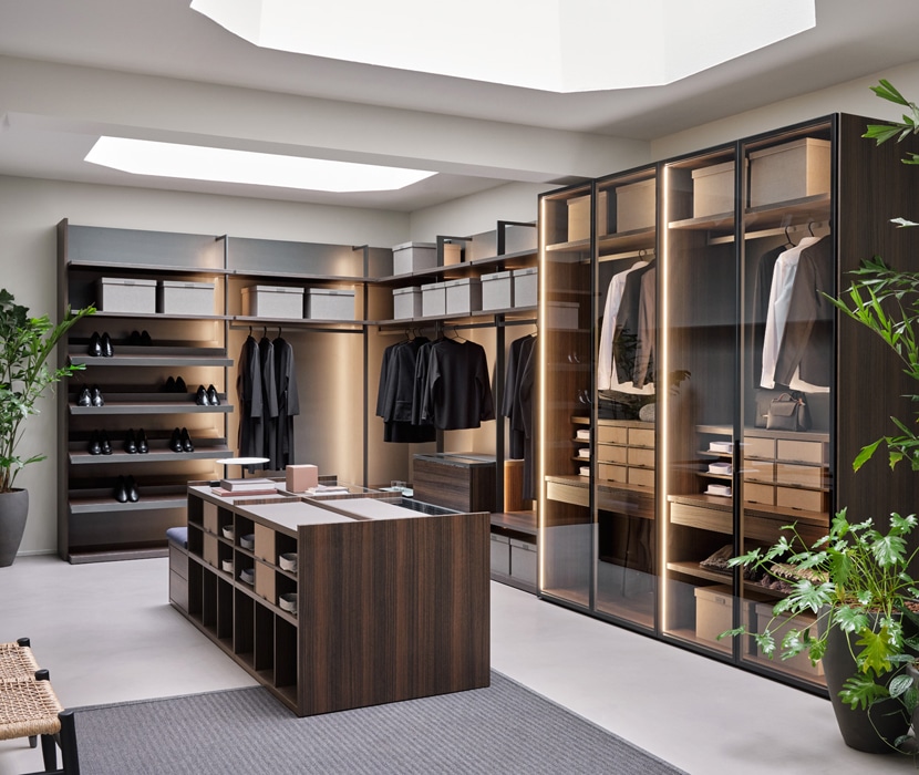 Modern Luxurious Walkin Closet Interior Stock Photo - Download